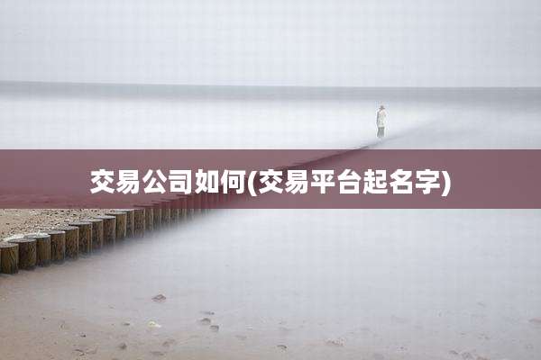 交易公司如何(交易平台起名字)