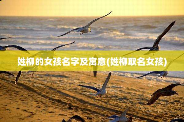 姓柳的女孩名字及寓意(姓柳取名女孩)