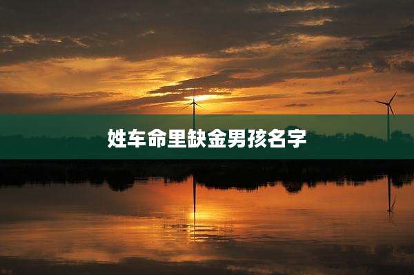 姓车命里缺金男孩名字