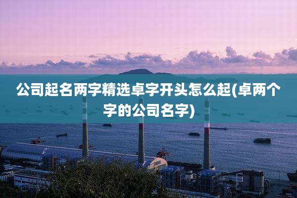公司起名两字精选卓字开头怎么起(卓两个字的公司名字)