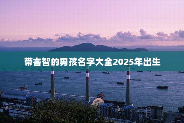 带睿智的男孩名字大全2025年出生