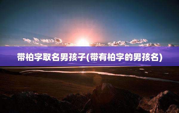 带柏字取名男孩子(带有柏字的男孩名)