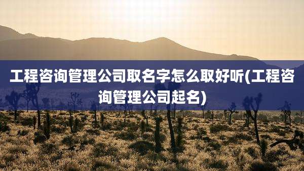 工程咨询管理公司取名字怎么取好听(工程咨询管理公司起名)