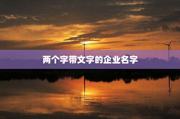 两个字带文字的企业名字
