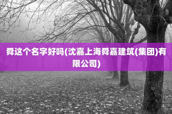 舜这个名字好吗(沈嘉上海舜嘉建筑(集团)有限公司)