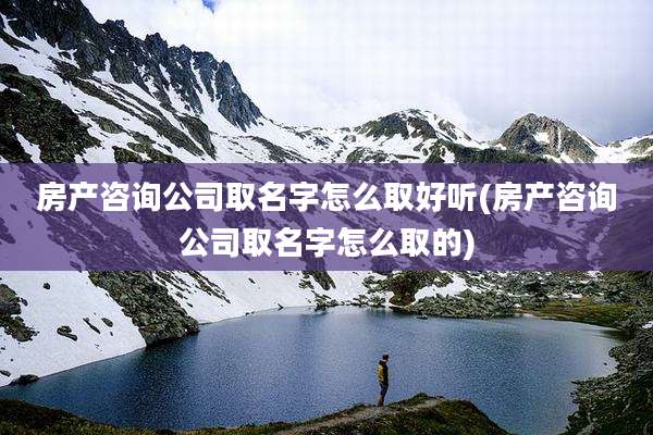 房产咨询公司取名字怎么取好听(房产咨询公司取名字怎么取的)