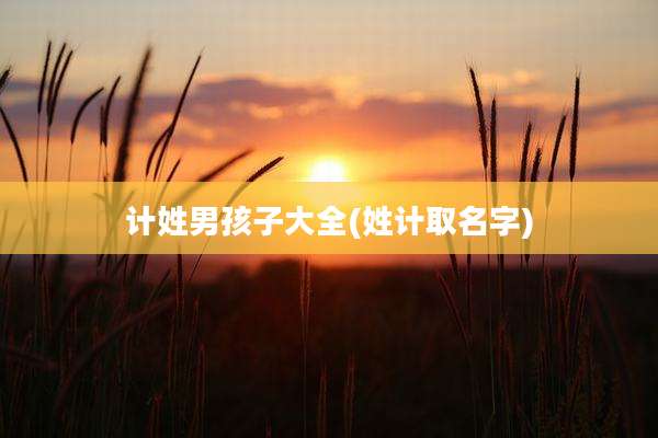 计姓男孩子大全(姓计取名字)
