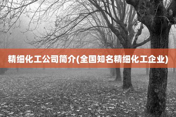 精细化工公司简介(全国知名精细化工企业)
