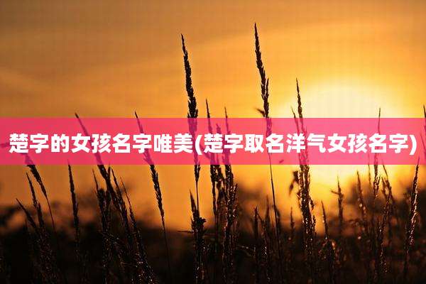 楚字的女孩名字唯美(楚字取名洋气女孩名字)