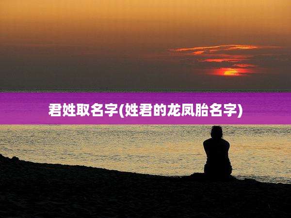 君姓取名字(姓君的龙凤胎名字)