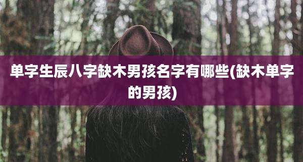 单字生辰八字缺木男孩名字有哪些(缺木单字的男孩)