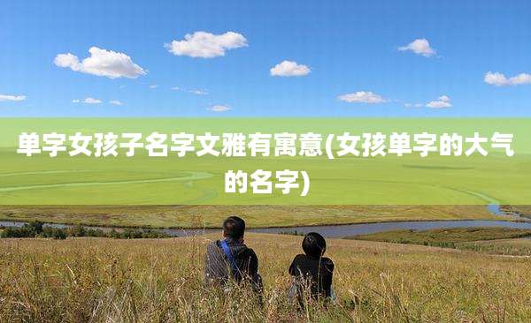 单字女孩子名字文雅有寓意(女孩单字的大气的名字)