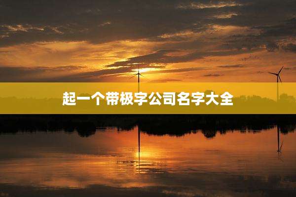起一个带极字公司名字大全