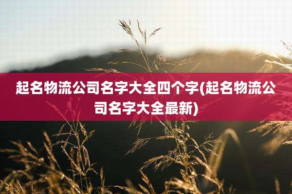 起名物流公司名字大全四个字(起名物流公司名字大全最新)