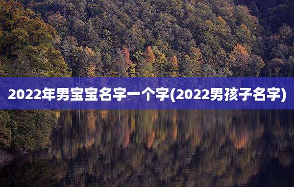 2022年男宝宝名字一个字(2022男孩子名字)