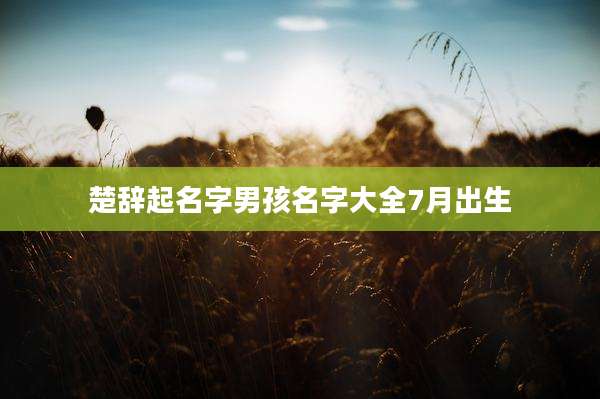 楚辞起名字男孩名字大全7月出生