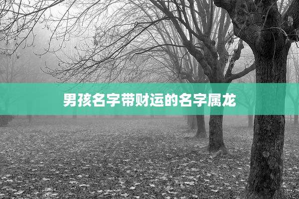 男孩名字带财运的名字属龙