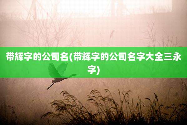 带辉字的公司名(带辉字的公司名字大全三永字)