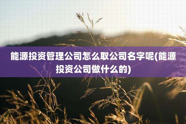 能源投资管理公司怎么取公司名字呢(能源投资公司做什么的)