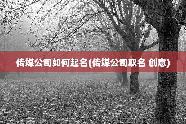 传媒公司如何起名(传媒公司取名 创意)