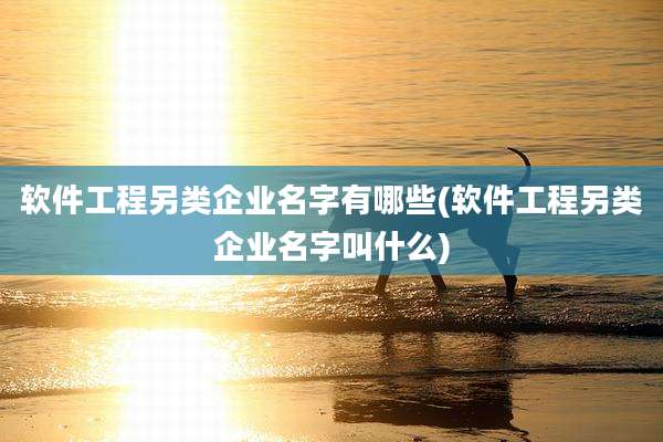 软件工程另类企业名字有哪些(软件工程另类企业名字叫什么)