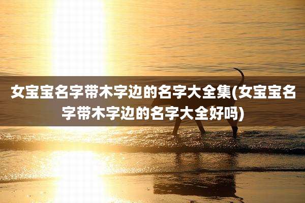 女宝宝名字带木字边的名字大全集(女宝宝名字带木字边的名字大全好吗)