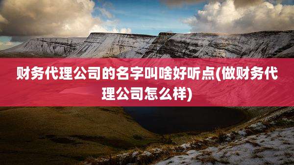 财务代理公司的名字叫啥好听点(做财务代理公司怎么样)