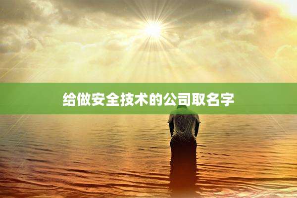 给做安全技术的公司取名字