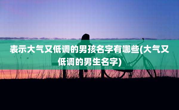 表示大气又低调的男孩名字有哪些(大气又低调的男生名字)