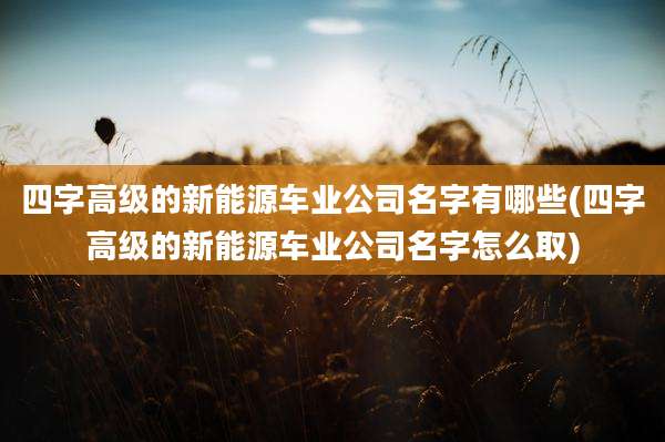 四字高级的新能源车业公司名字有哪些(四字高级的新能源车业公司名字怎么取)