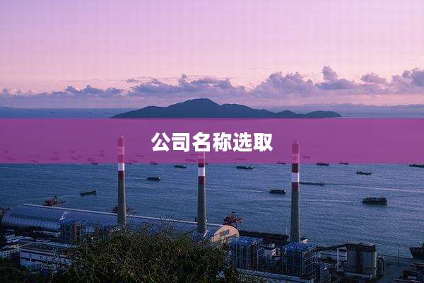 公司名称选取