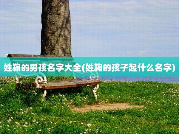 姓鞠的男孩名字大全(姓鞠的孩子起什么名字)