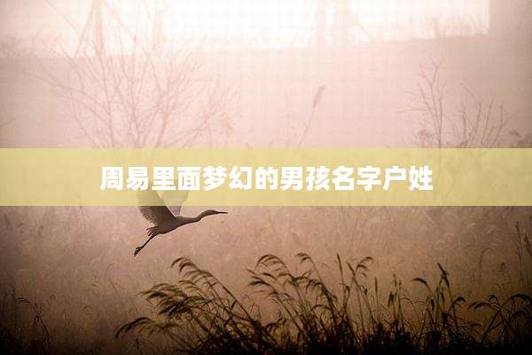 周易里面梦幻的男孩名字户姓