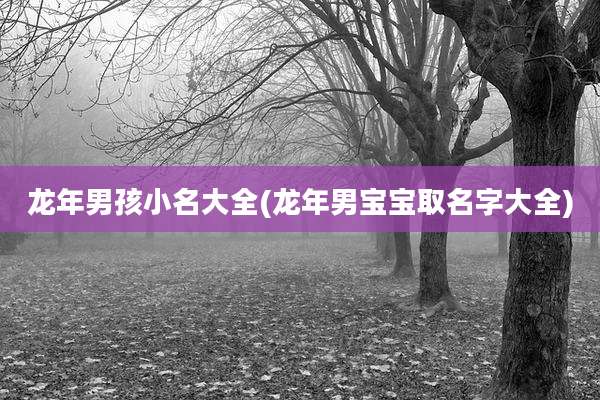 龙年男孩小名大全(龙年男宝宝取名字大全)