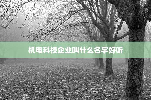 机电科技企业叫什么名字好听