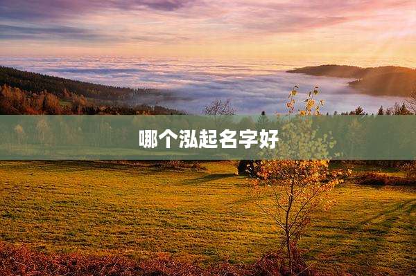 哪个泓起名字好