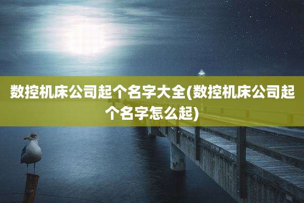数控机床公司起个名字大全(数控机床公司起个名字怎么起)