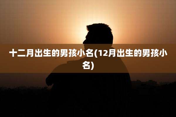 十二月出生的男孩小名(12月出生的男孩小名)
