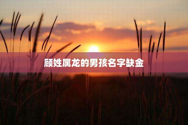 顾姓属龙的男孩名字缺金