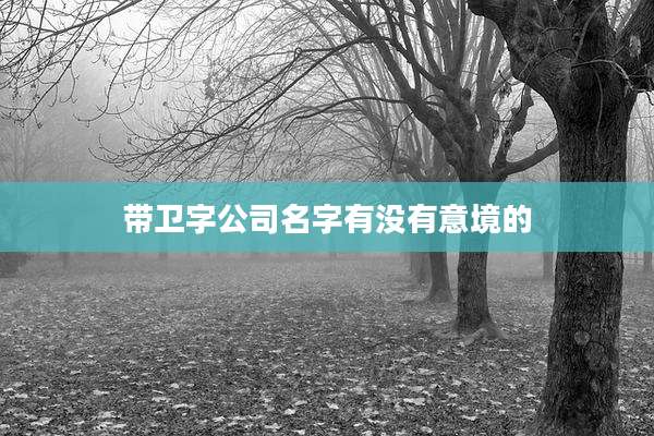 带卫字公司名字有没有意境的