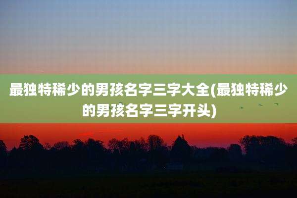 最独特稀少的男孩名字三字大全(最独特稀少的男孩名字三字开头)
