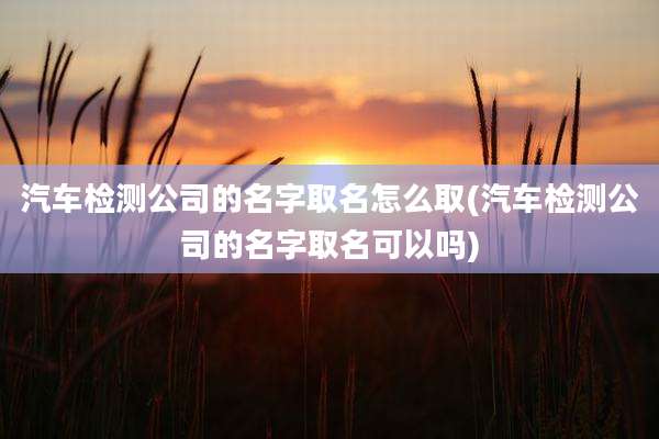 汽车检测公司的名字取名怎么取(汽车检测公司的名字取名可以吗)