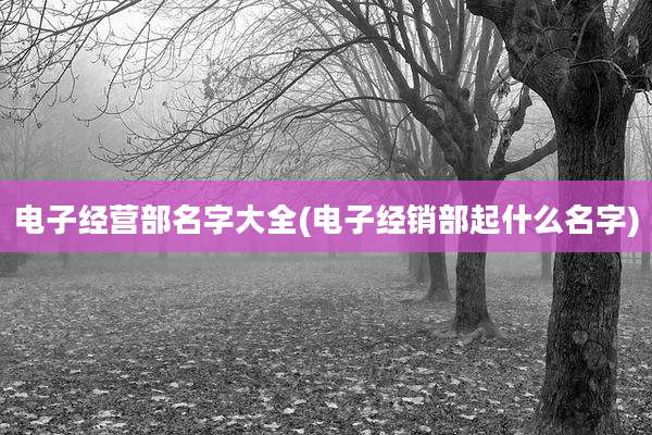 电子经营部名字大全(电子经销部起什么名字)