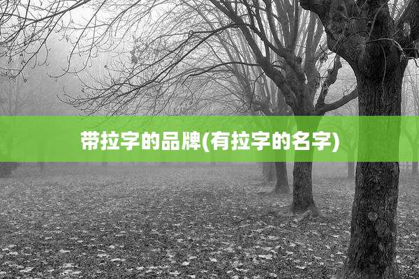 带拉字的品牌(有拉字的名字)