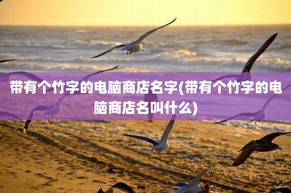 带有个竹字的电脑商店名字(带有个竹字的电脑商店名叫什么)