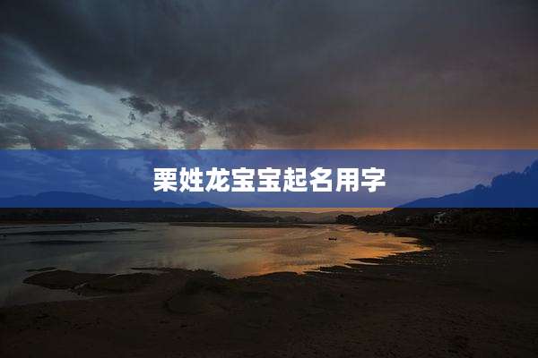 栗姓龙宝宝起名用字