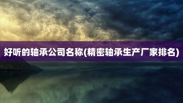 好听的轴承公司名称(精密轴承生产厂家排名)