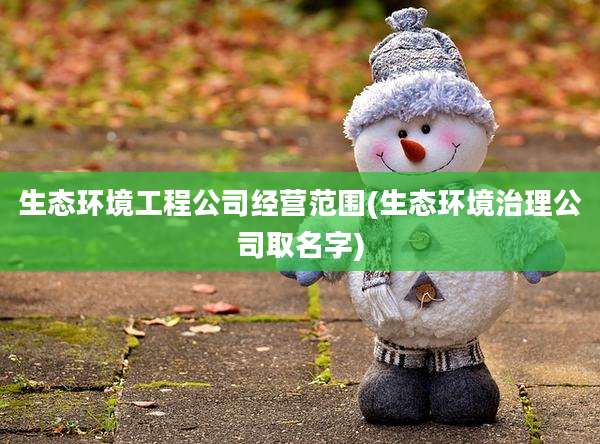 生态环境工程公司经营范围(生态环境治理公司取名字)