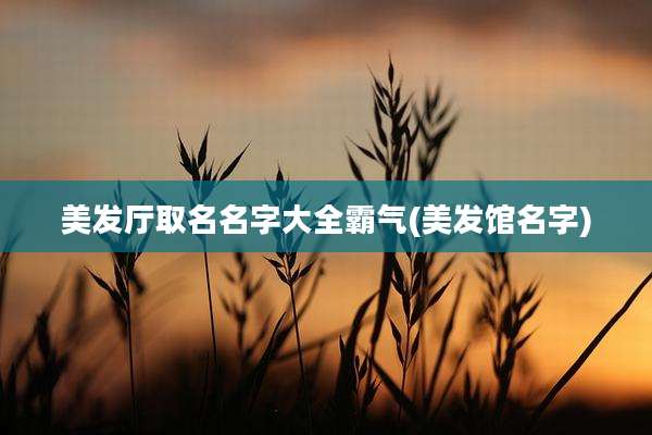 美发厅取名名字大全霸气(美发馆名字)