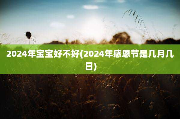 2024年宝宝好不好(2024年感恩节是几月几日)